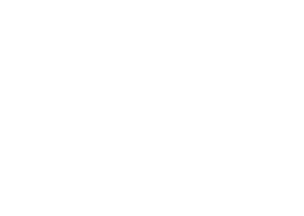 dev.spk-ro-aib-karriere.de
